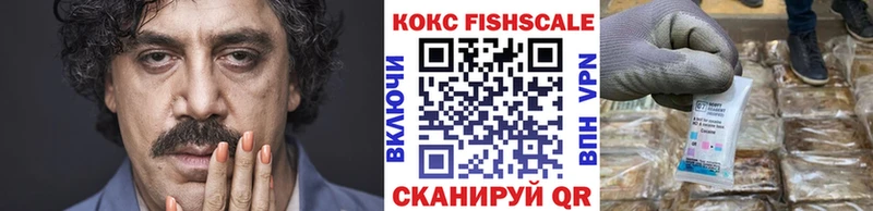 Cocaine FishScale Всеволожск